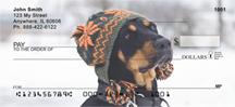 Trendy Doberman
