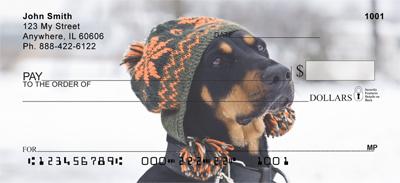 Trendy Doberman