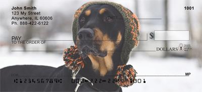 Trendy Doberman