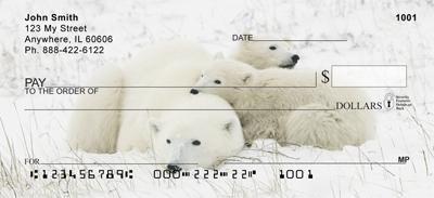 Mama Bear and Cubs