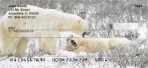 Playful Polar Bears