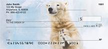 Silly Polar Bear