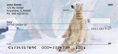 Silly Polar Bear