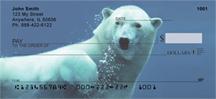 Polar Bear Underwater
