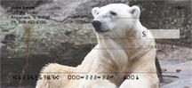 Mighty Polar Bears