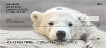 Polar Bear Cubs