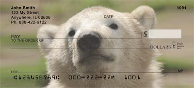 Polar Bear Cubs