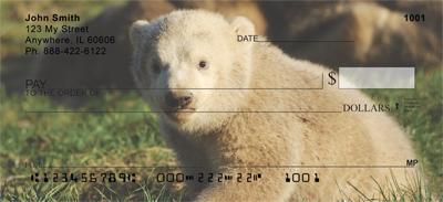 Polar Bear Cubs