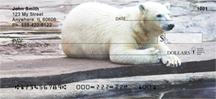 Polar Bears Chilling