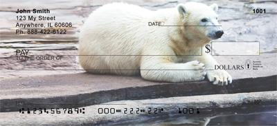 Polar Bears Chilling