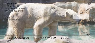 Polar Bears Chilling