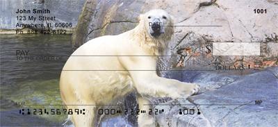 Polar Bears Chilling