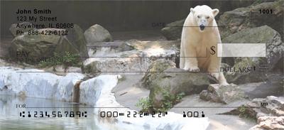 Polar Bears Chilling