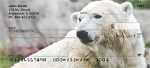 Resting Polar Bears