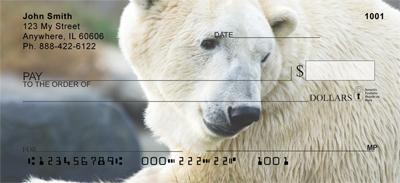 Resting Polar Bears
