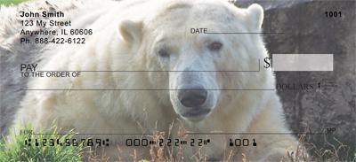Resting Polar Bears