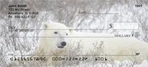 Comfortable Polar Bears