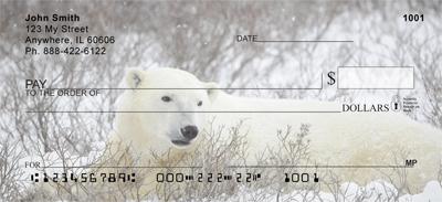 Comfortable Polar Bears