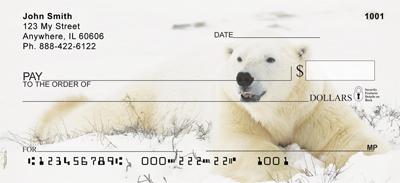 Comfortable Polar Bears