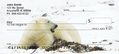 Comfortable Polar Bears