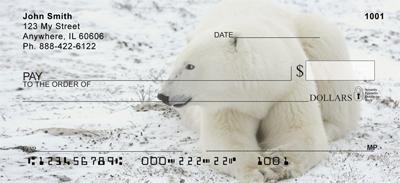 Comfortable Polar Bears