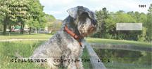Serious Schnauzers