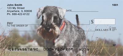 Serious Schnauzers