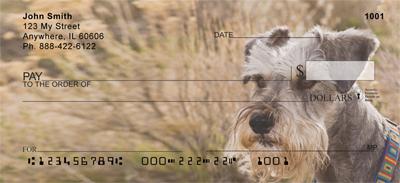 Serious Schnauzers