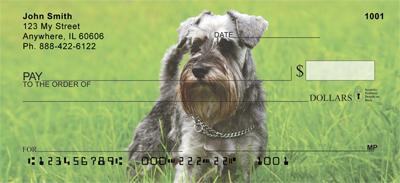 Serious Schnauzers