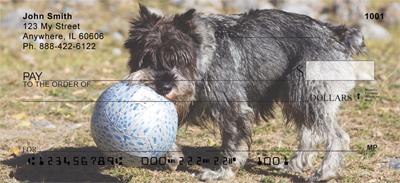 Schnauzers and Toys