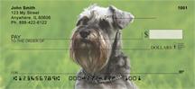 Schnauzers In The Grass