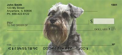 Schnauzers In The Grass