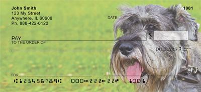 Schnauzers In The Grass