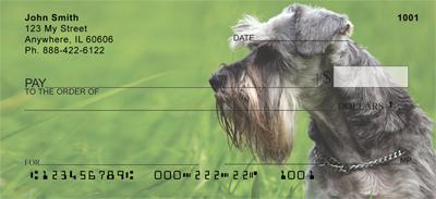 Schnauzers In The Grass
