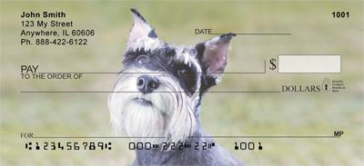 Lovable Schnauzers