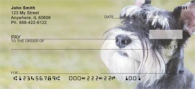 Lovable Schnauzers