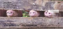 Pig Snouts