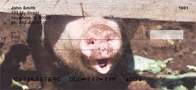 Pig Snouts