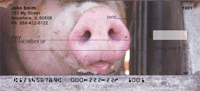 Pig Snouts