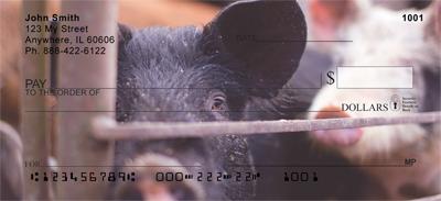 Pig Pens