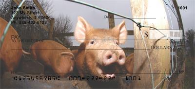 Pig Pens