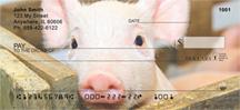 Cute Piggies