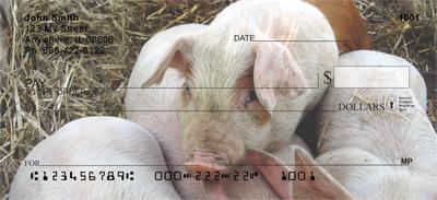 Cute Piggies