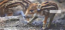 Baby Wild Pigs