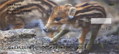 Baby Wild Pigs