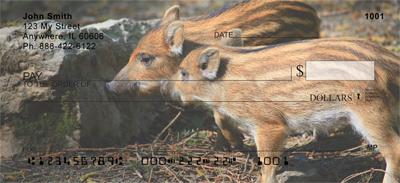 Baby Wild Pigs