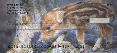 Baby Wild Pigs