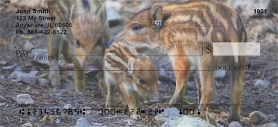 Baby Wild Pigs