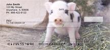 Spotted Piglets