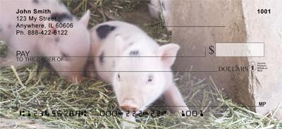 Spotted Piglets